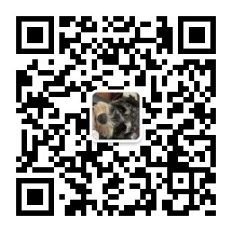 关注公众号