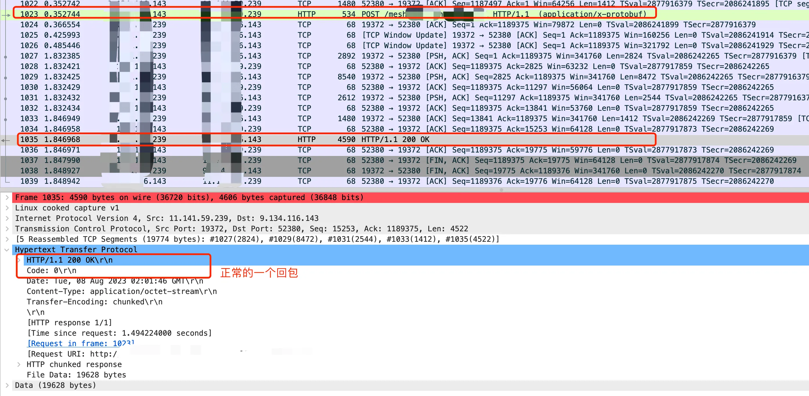 WireShark 抓正常回复的包