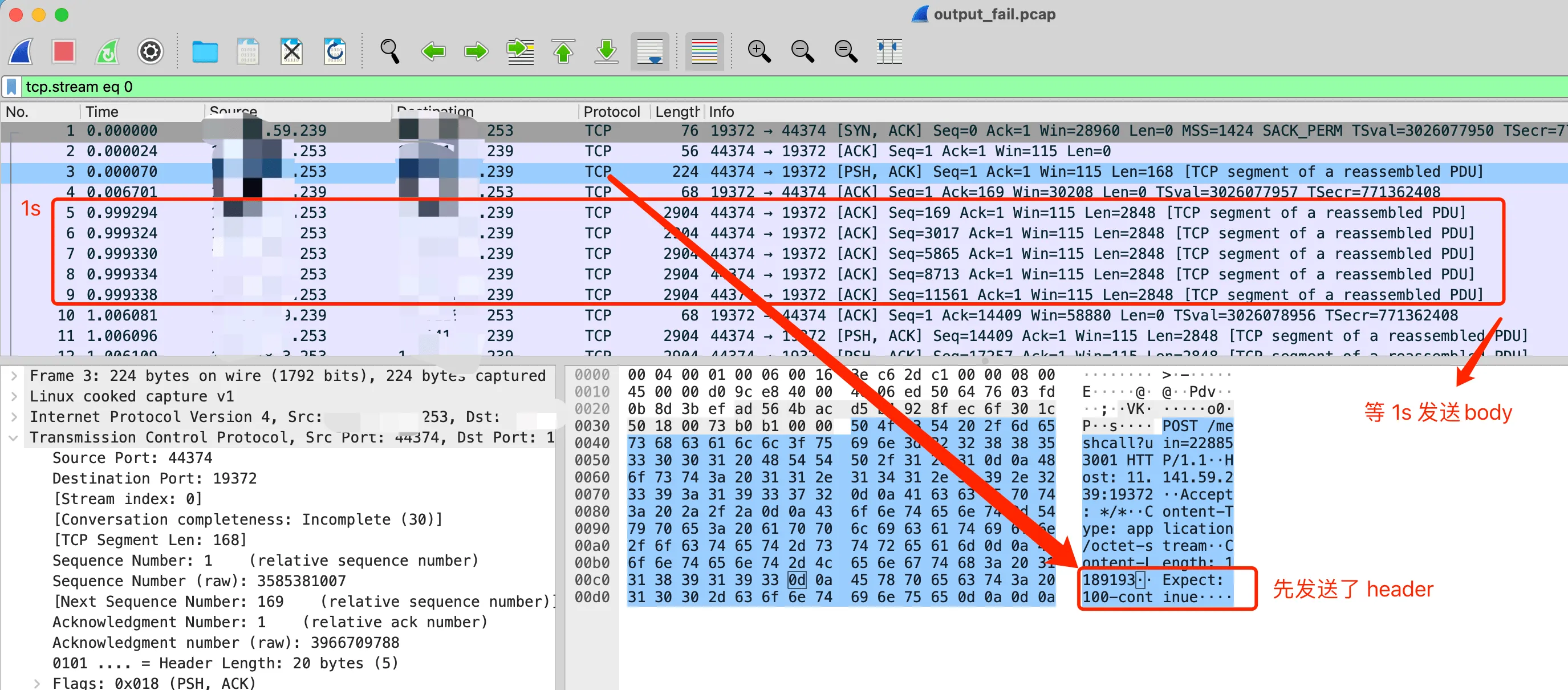 WireShark Expect: 100-continue 等待 1s